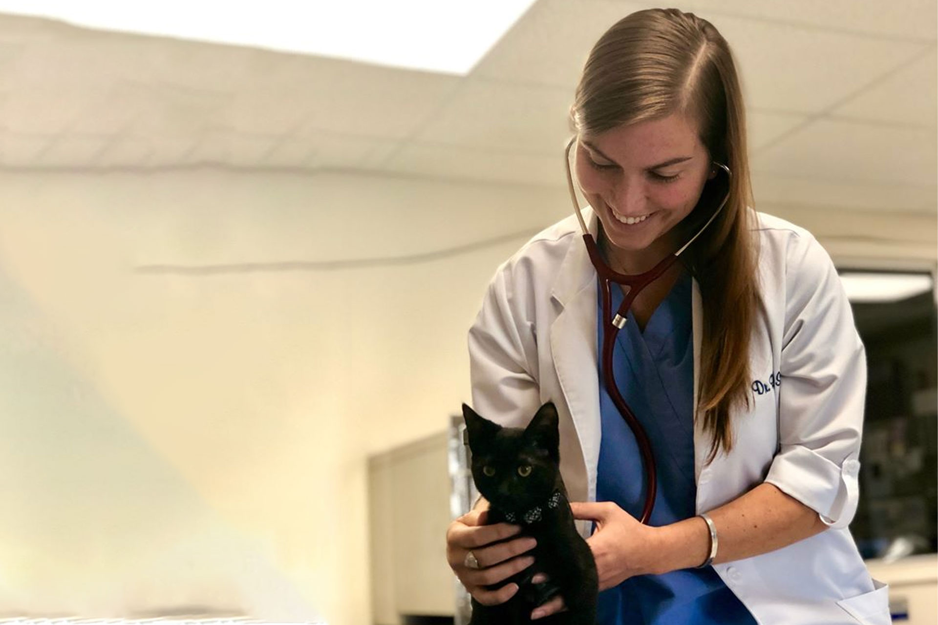 Veterinarian in Huntsville | Vet Near You | Green Cove Pet Hospital